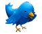twitter-bird twitter-bird